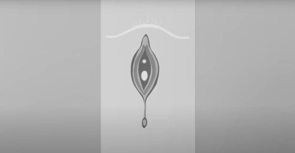female sexual anatomy