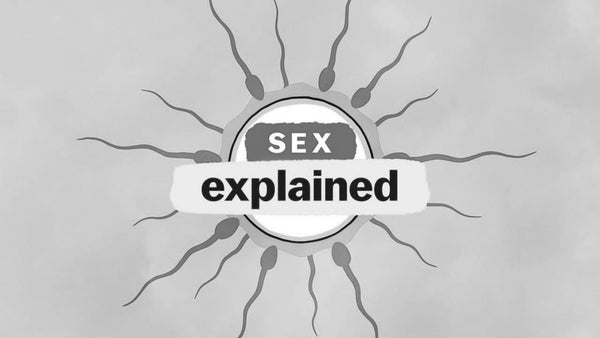 Sex, Explained
