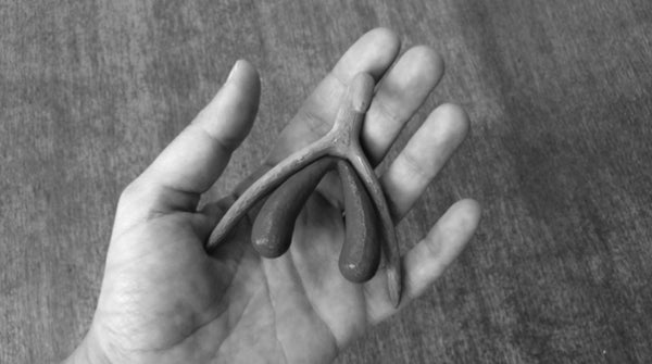 the still-misunderstood shape of the clitoris