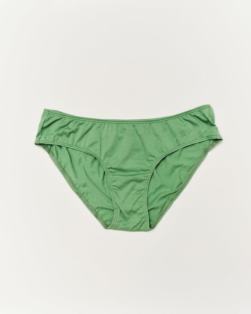 Brief - Verdant