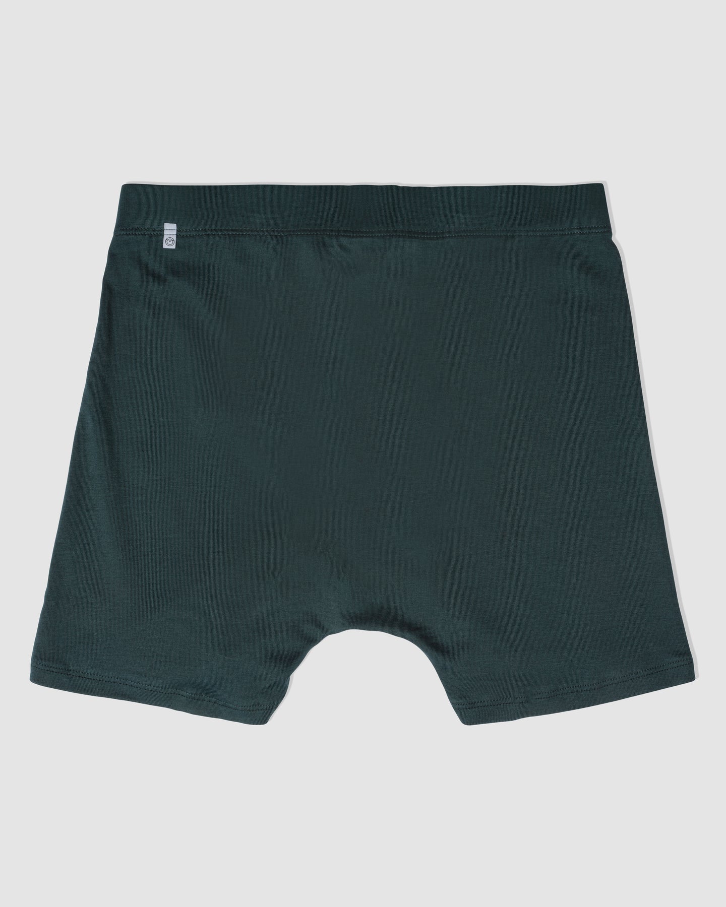 2023 Boxer Brief - Moss Size S