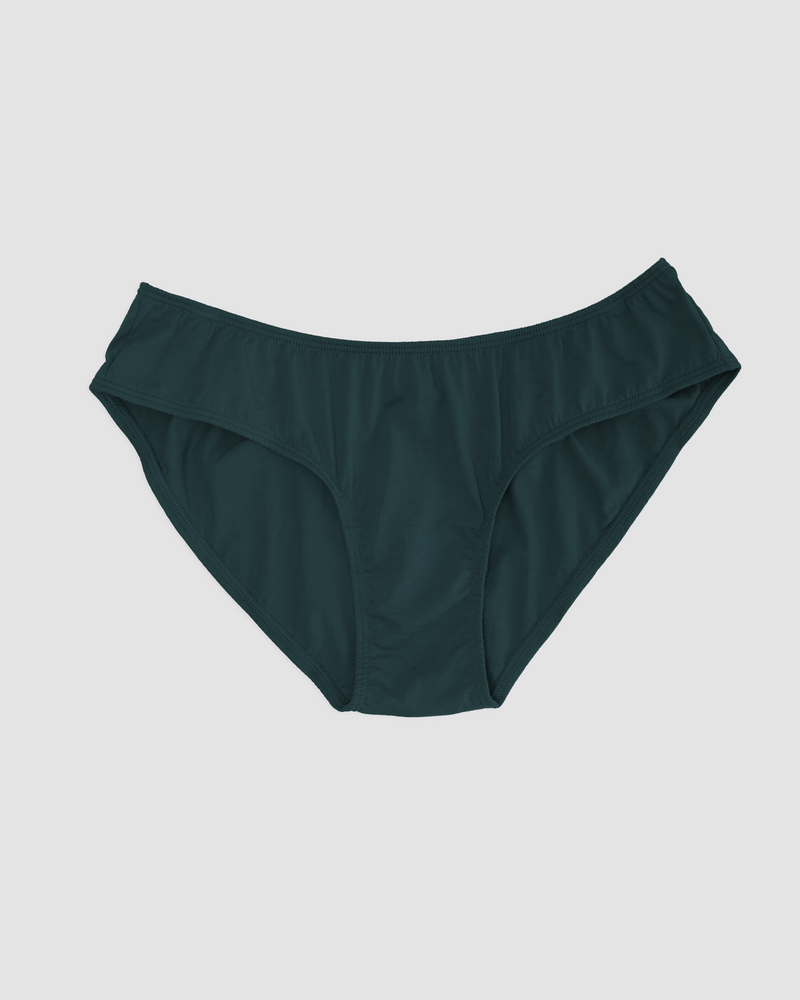 brief in cactus