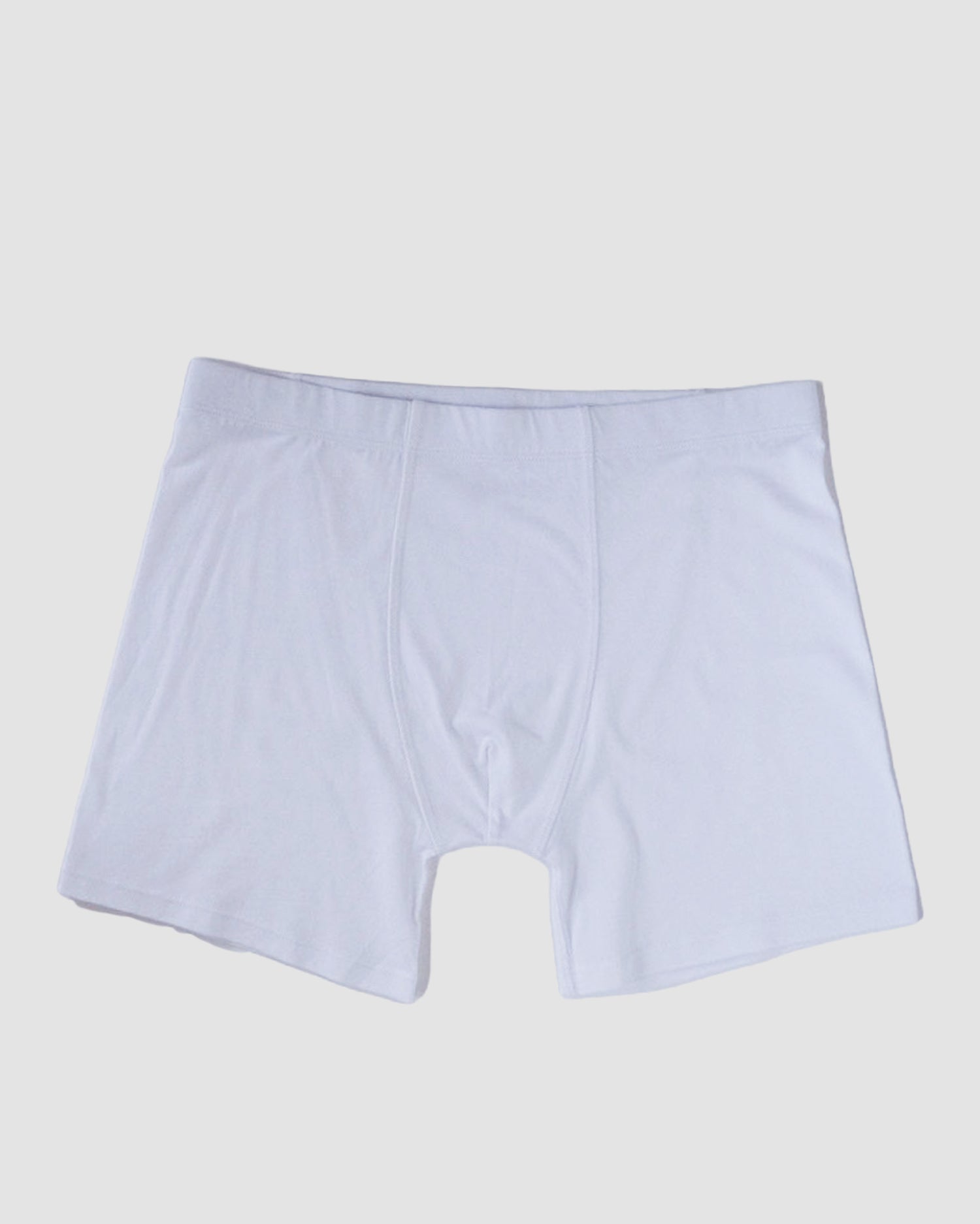 Men's Boxer Brief - Chalk