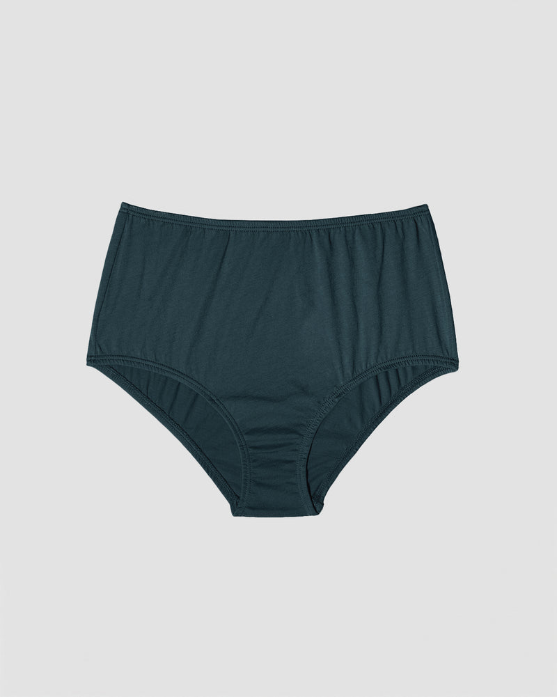 Mid-Rise Brief Full Coverage - Cactus