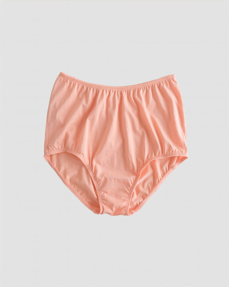 HW Brief Full Coverage - Petal