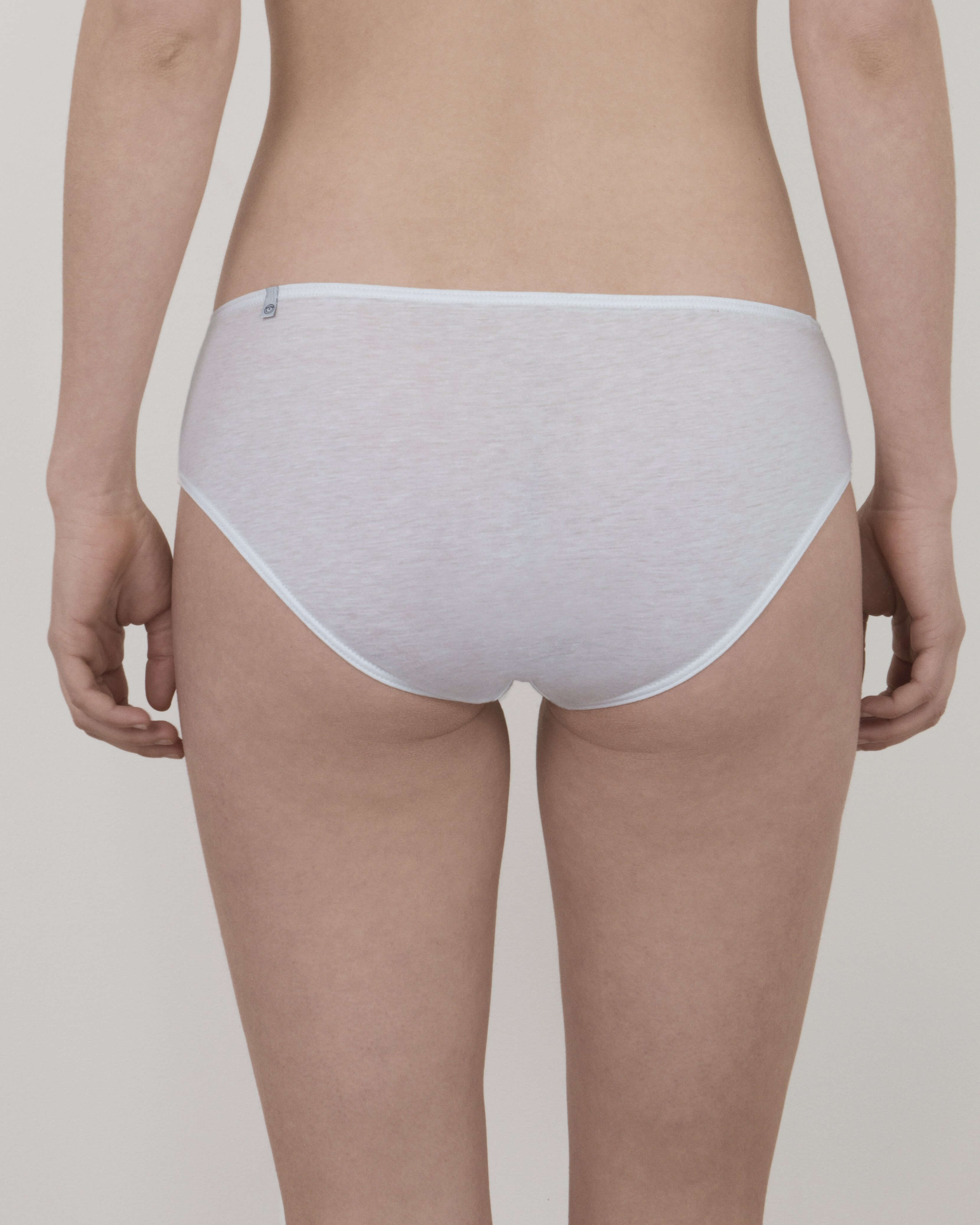 brief 100 organic. classic cotton brief underwear oddobody